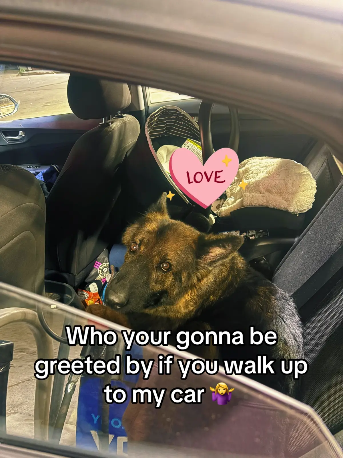 @₮₳ɎⱠ&Oslash;Ɽ Ɽ₳Ɇ