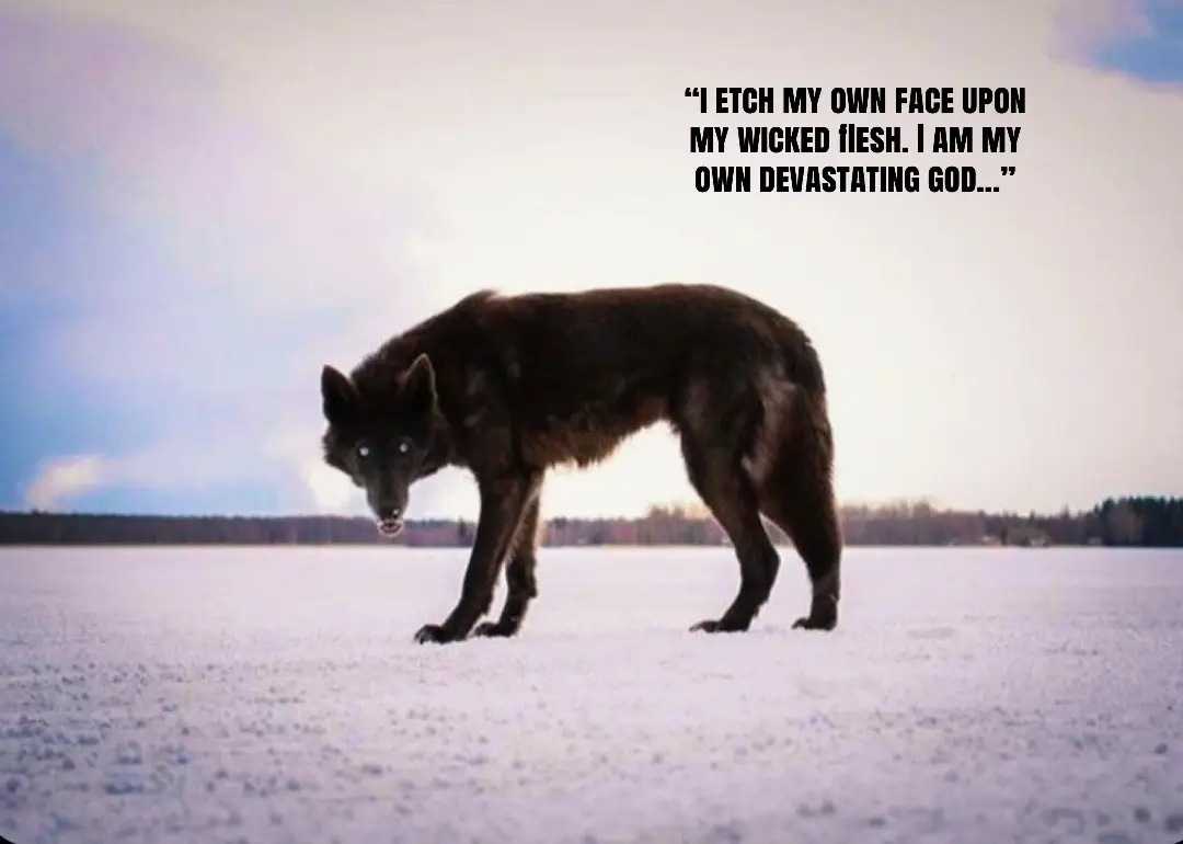 @🪬Conscious_LoneWolf🐺