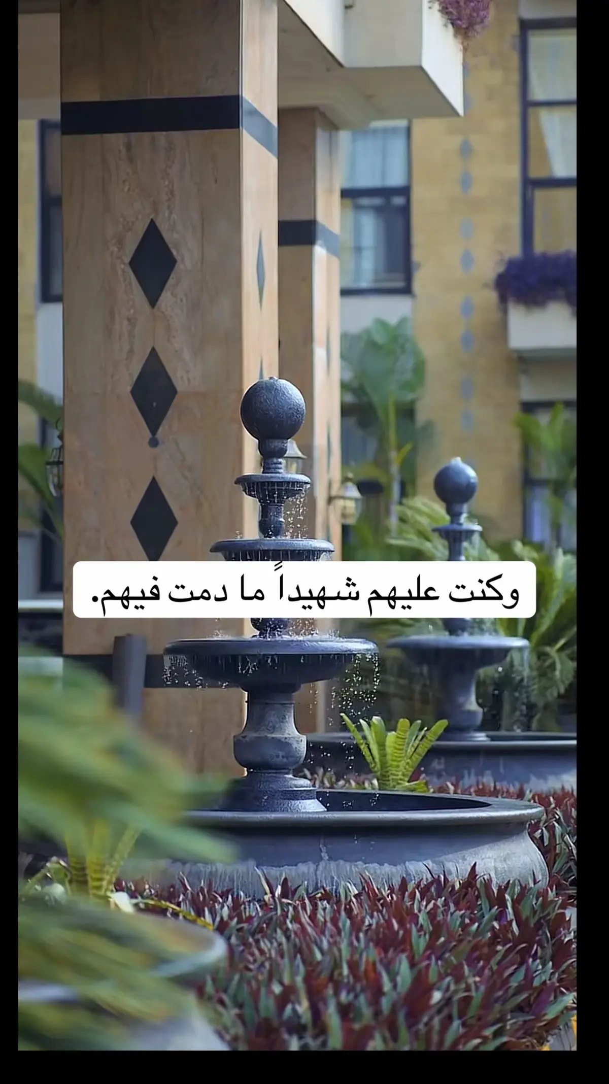 @Raaedat foundation