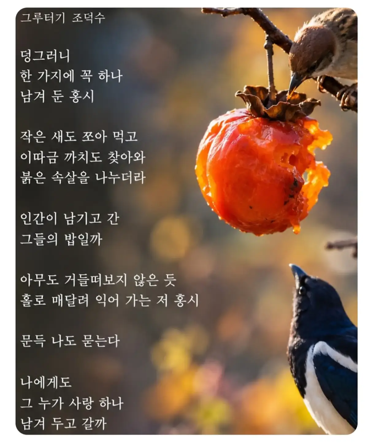 @김동욱802