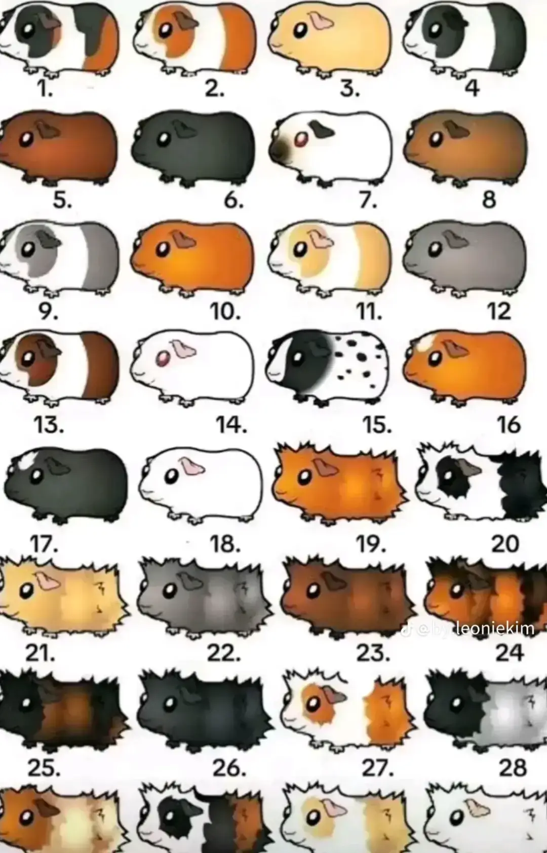 @๐๐ต๐ฑMiaperle67๐ต๐ฑ๐