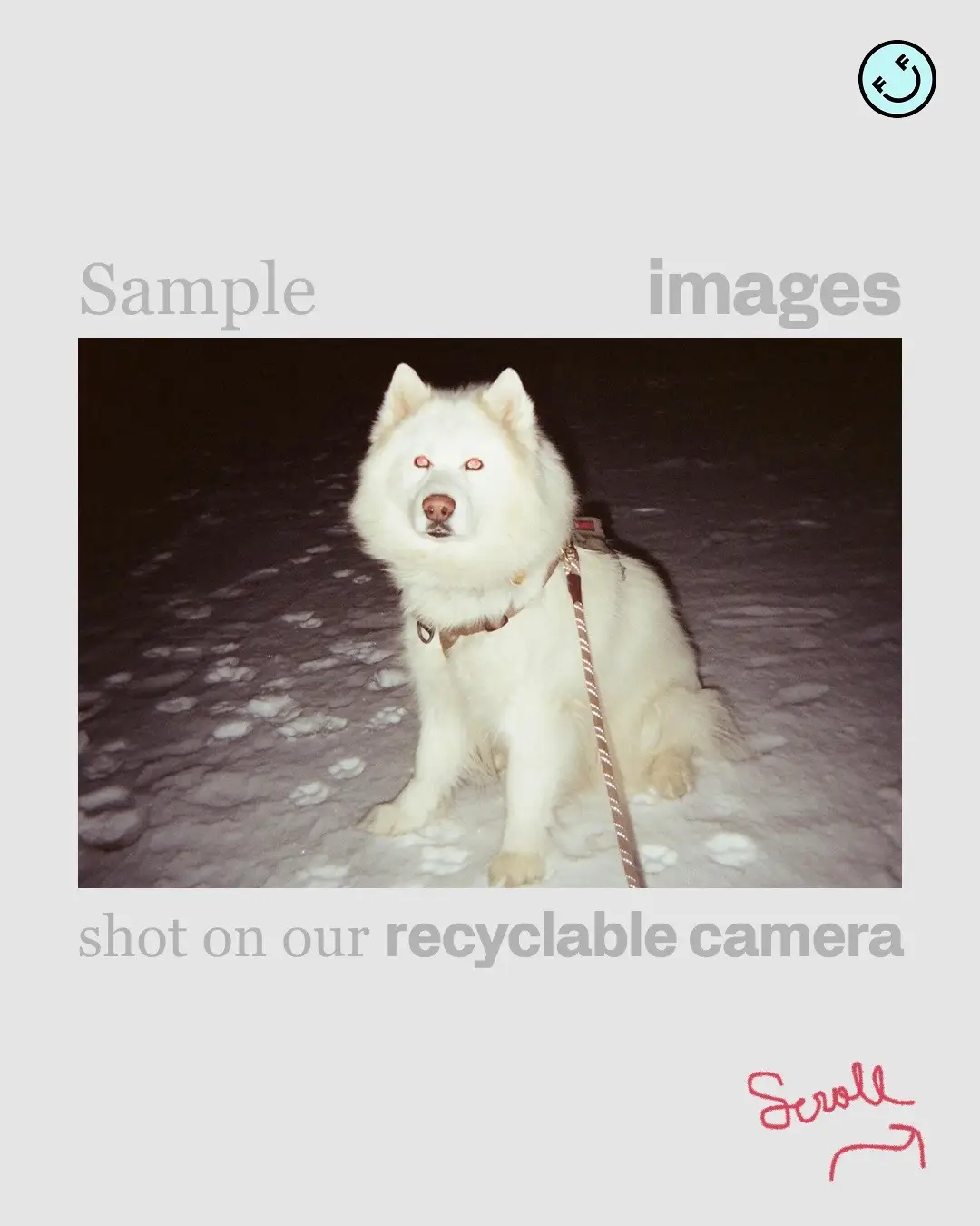@hello.fotofoto