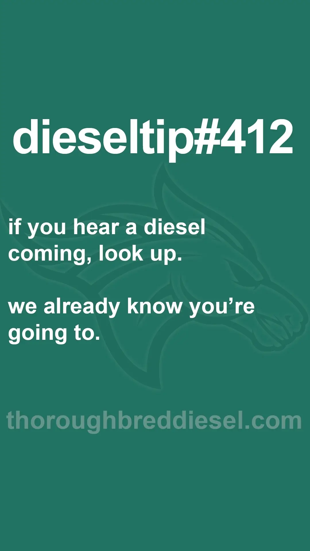 @Thoroughbred Diesel