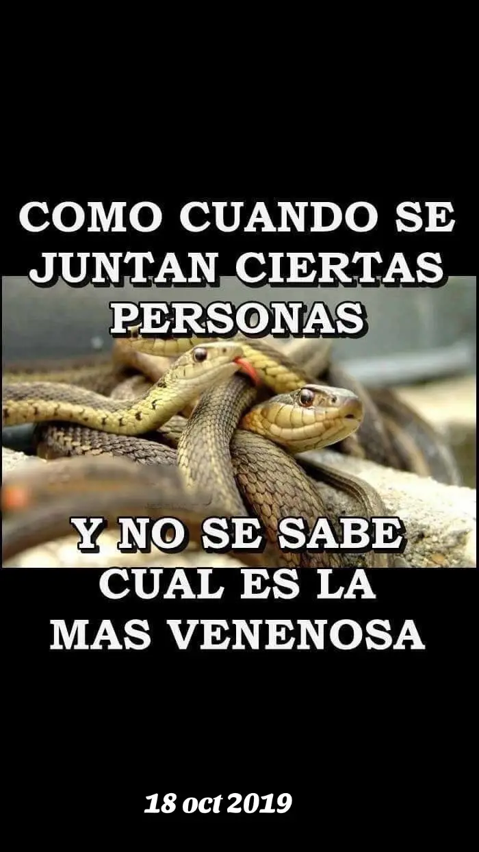 @ROCA💎CECEÑA💎🇲🇽🇺🇸