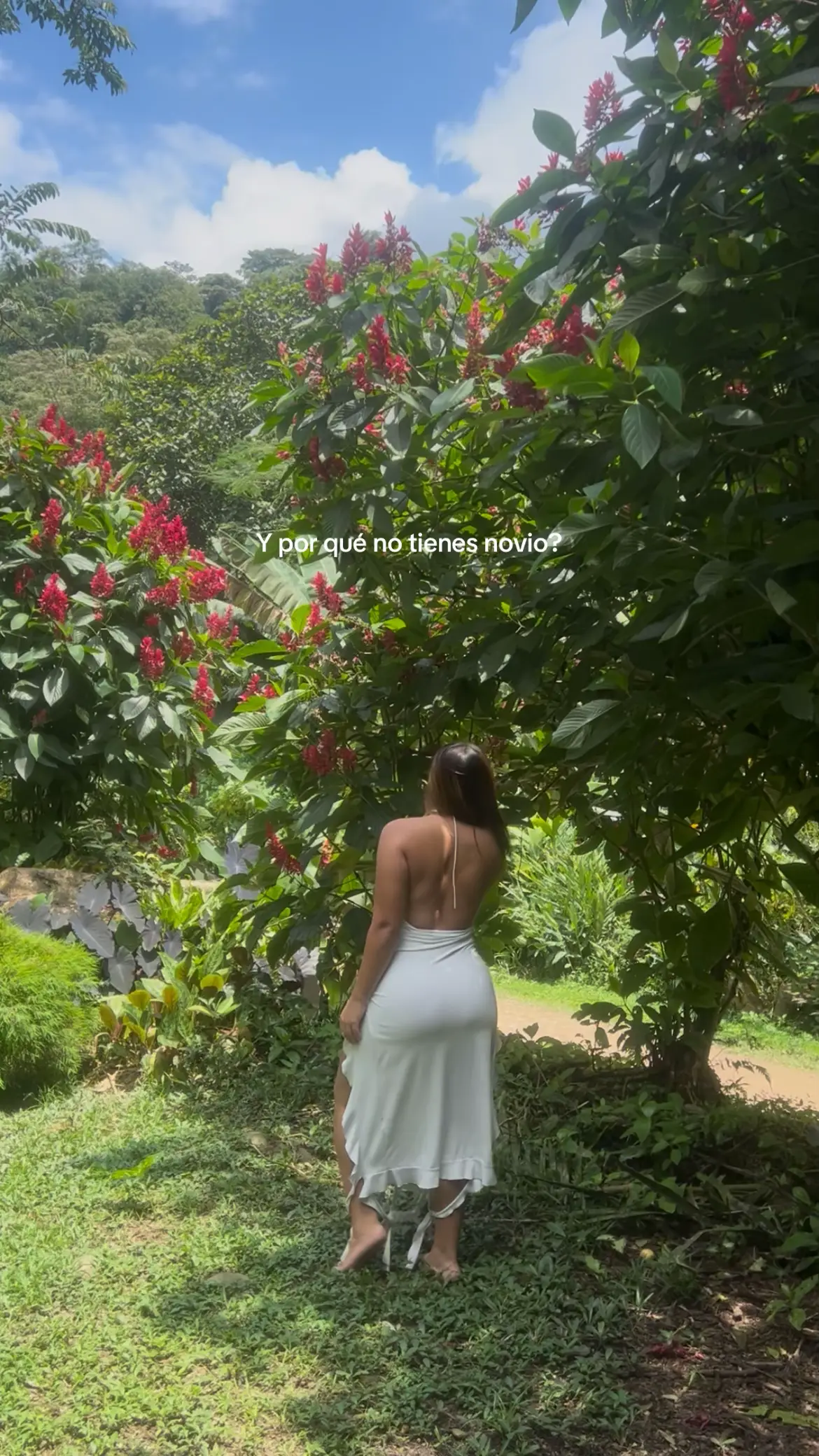 @Nianatoc🦋