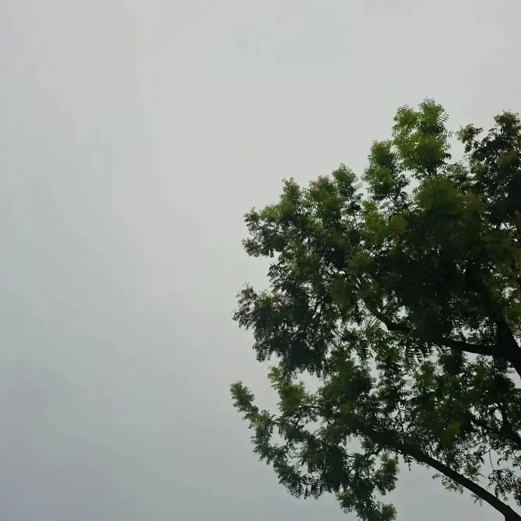@張張