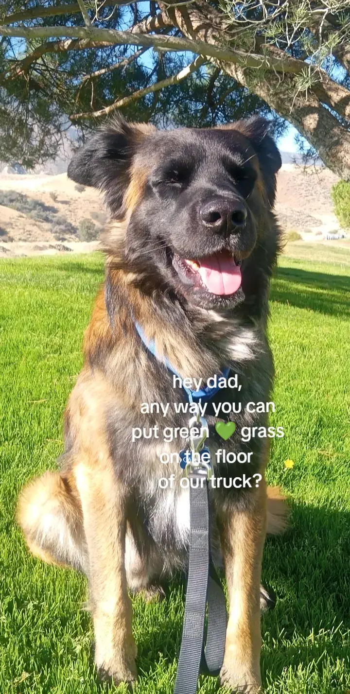 @trucker John