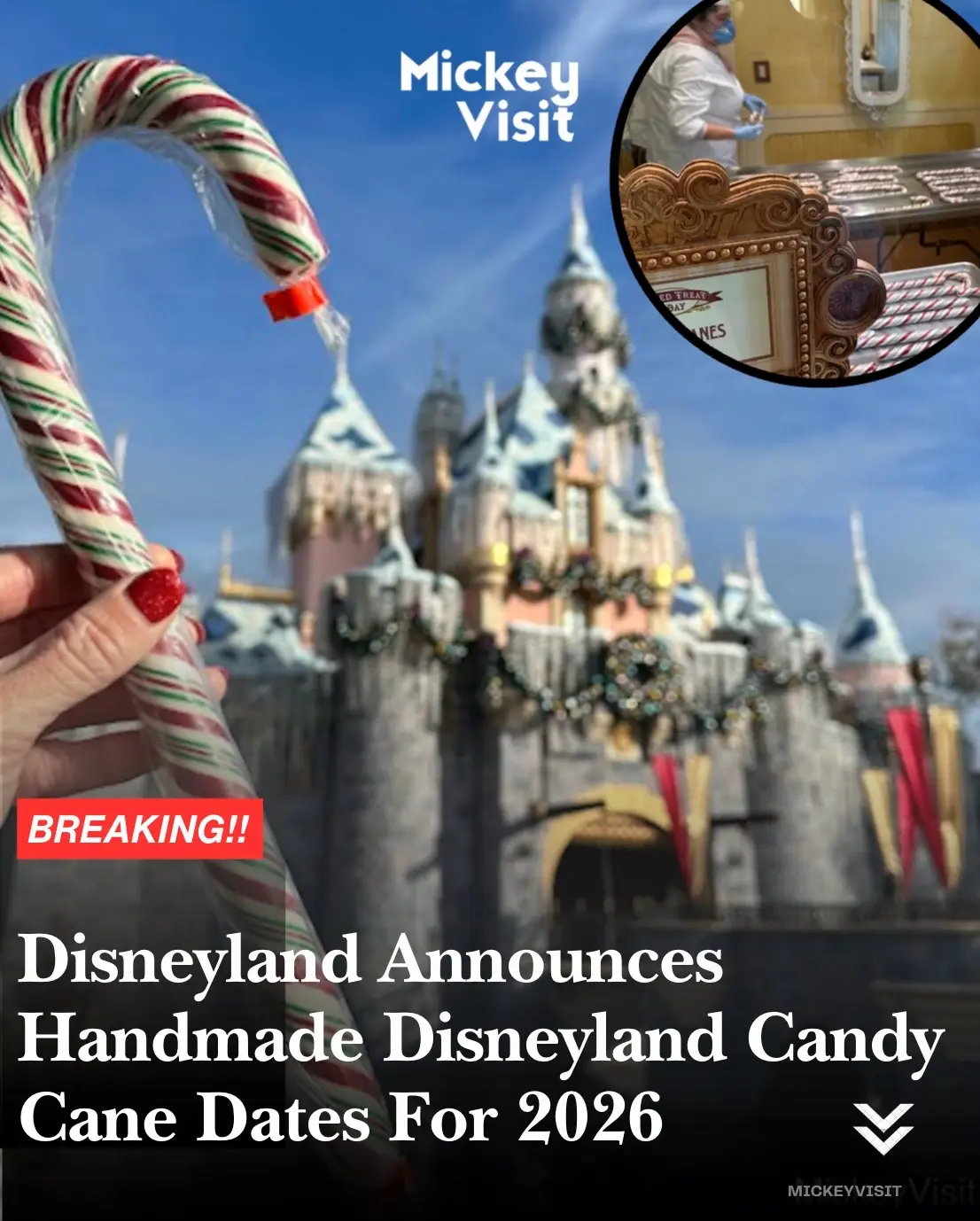 @Mickey Visit: Disney Guide!