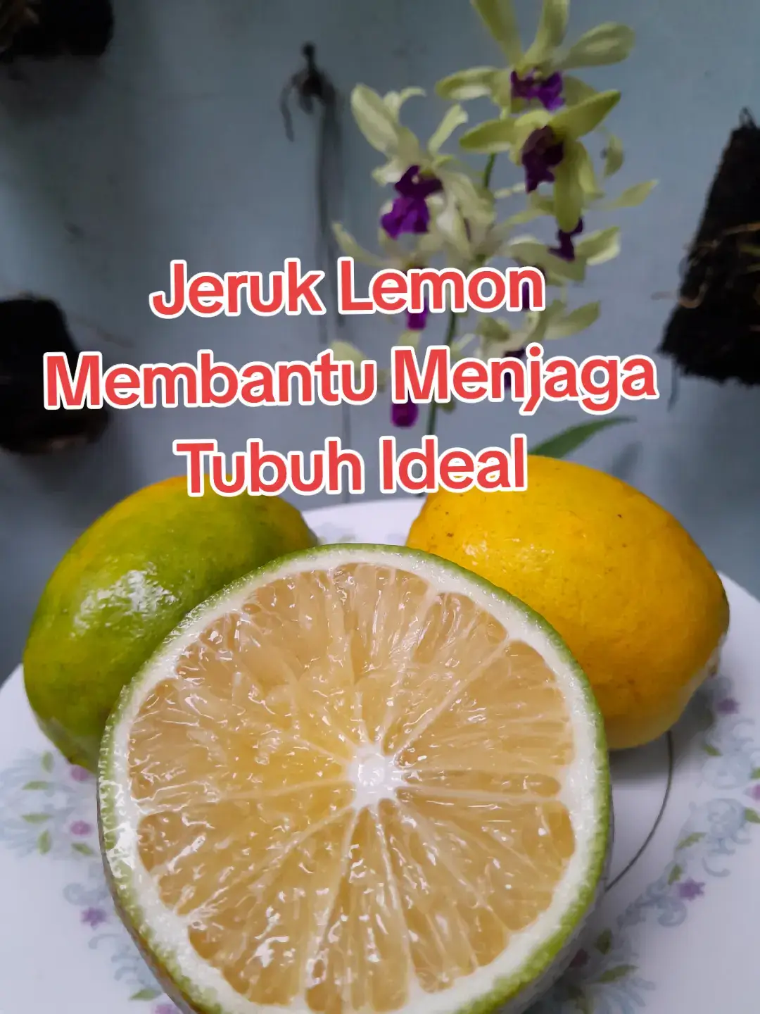 @Ambar healthy herbapedia