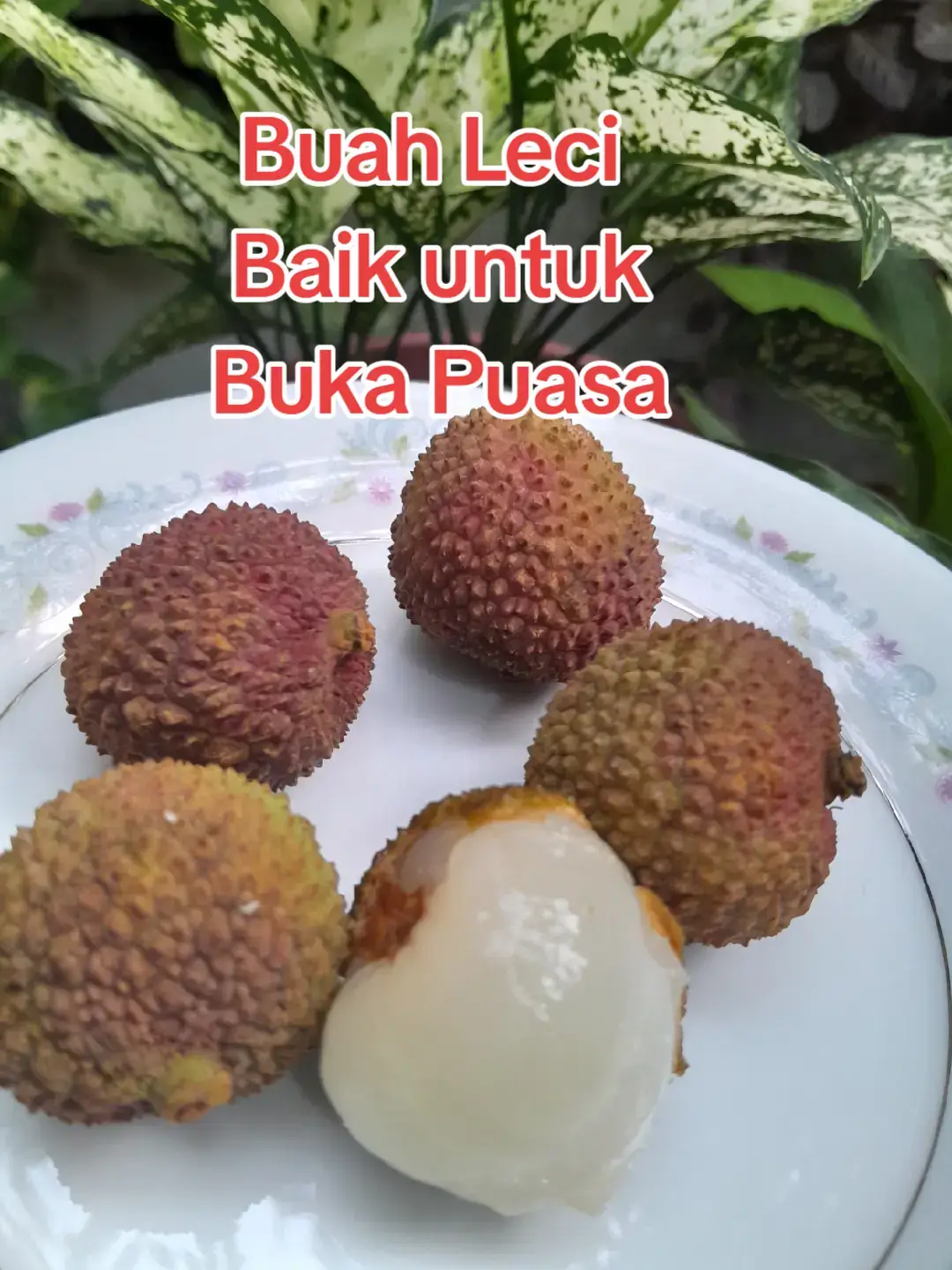 @Ambar healthy herbapedia