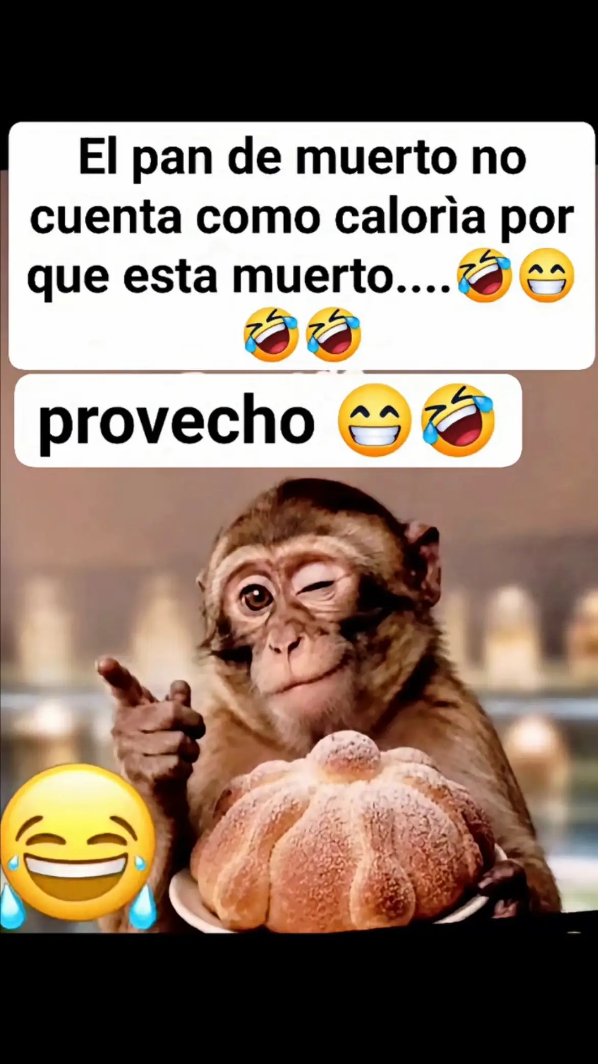 @Pedro Cruz