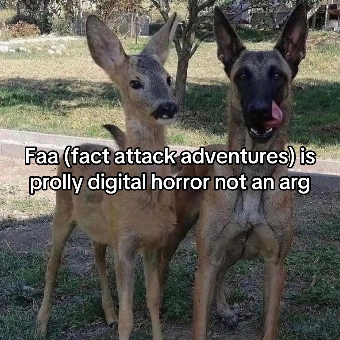 @Kai