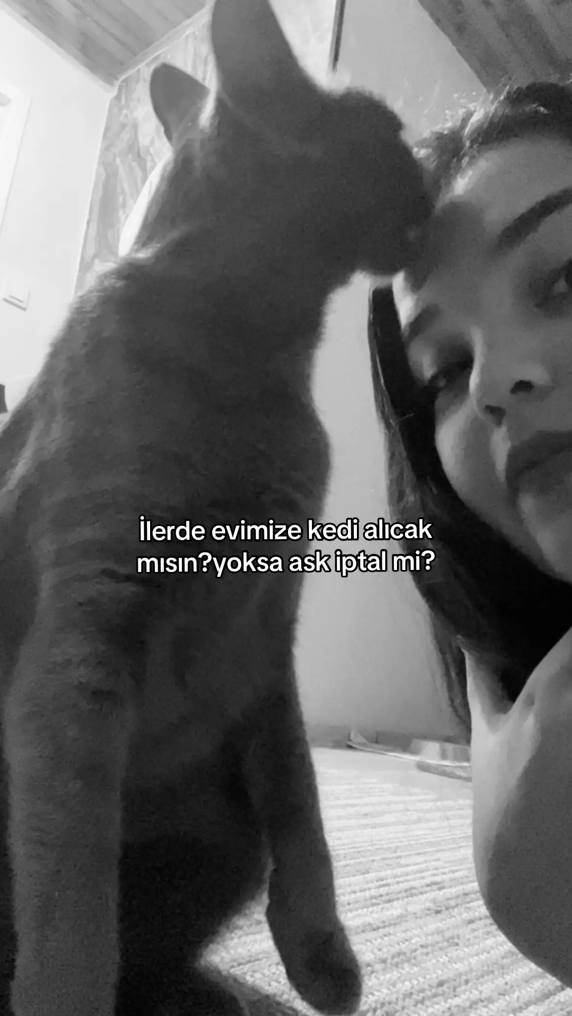 @tavsandis🐰