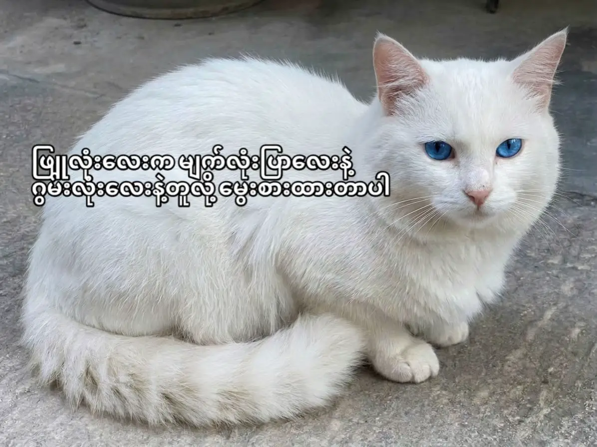 @Emerald_Mg : မောင်