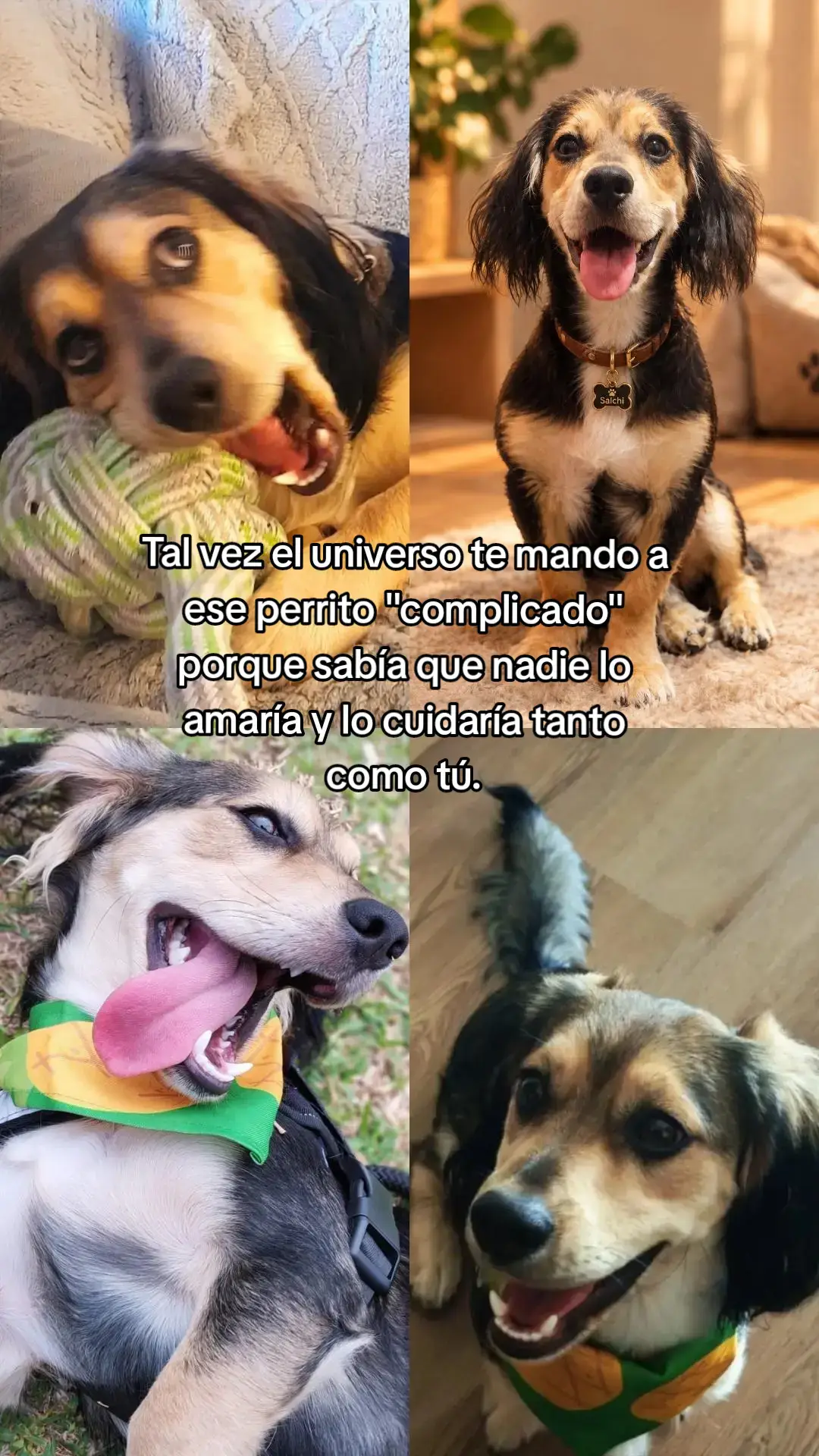 @Una leo♌️
