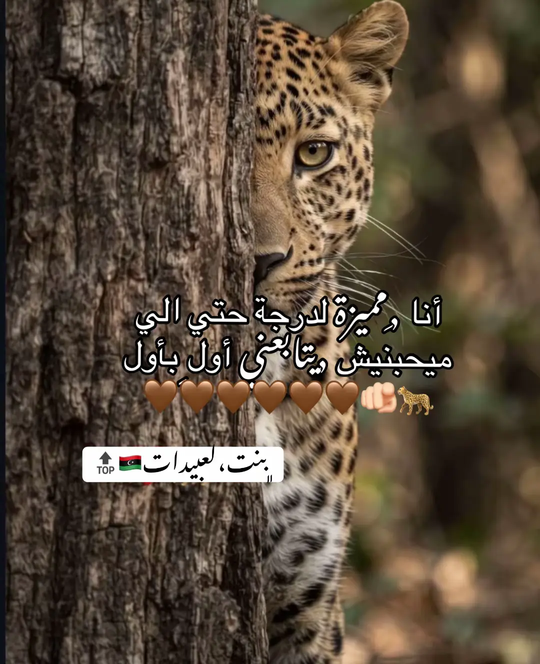 @﮼بنت،لعبيدات🔝❤️🇱🇾