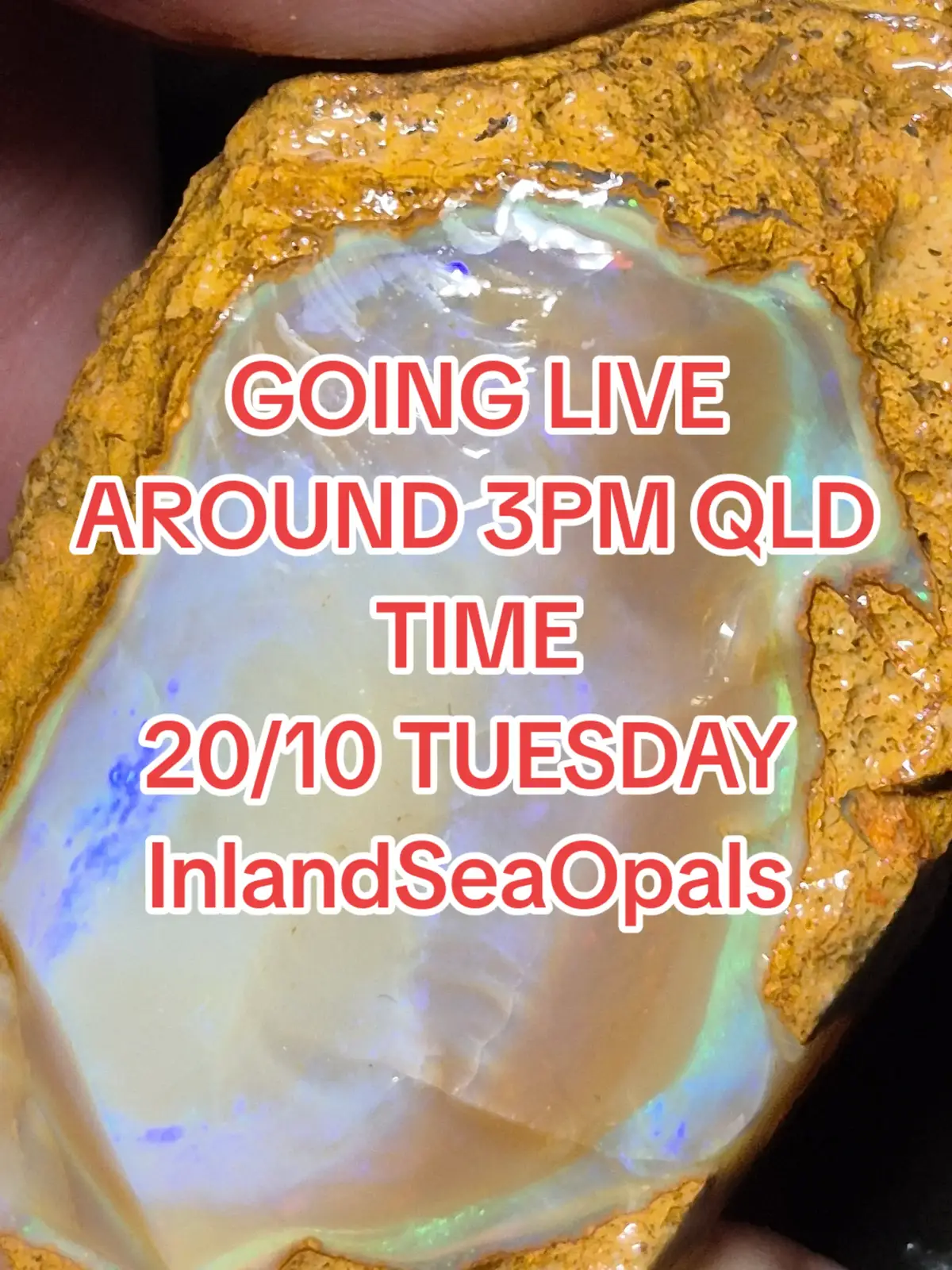 @InlandSeaOpals