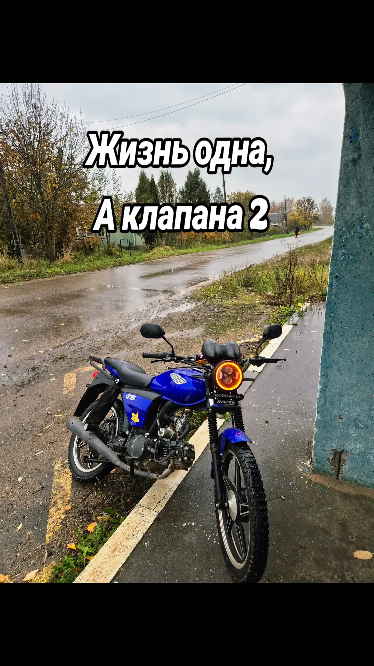 @alphavod