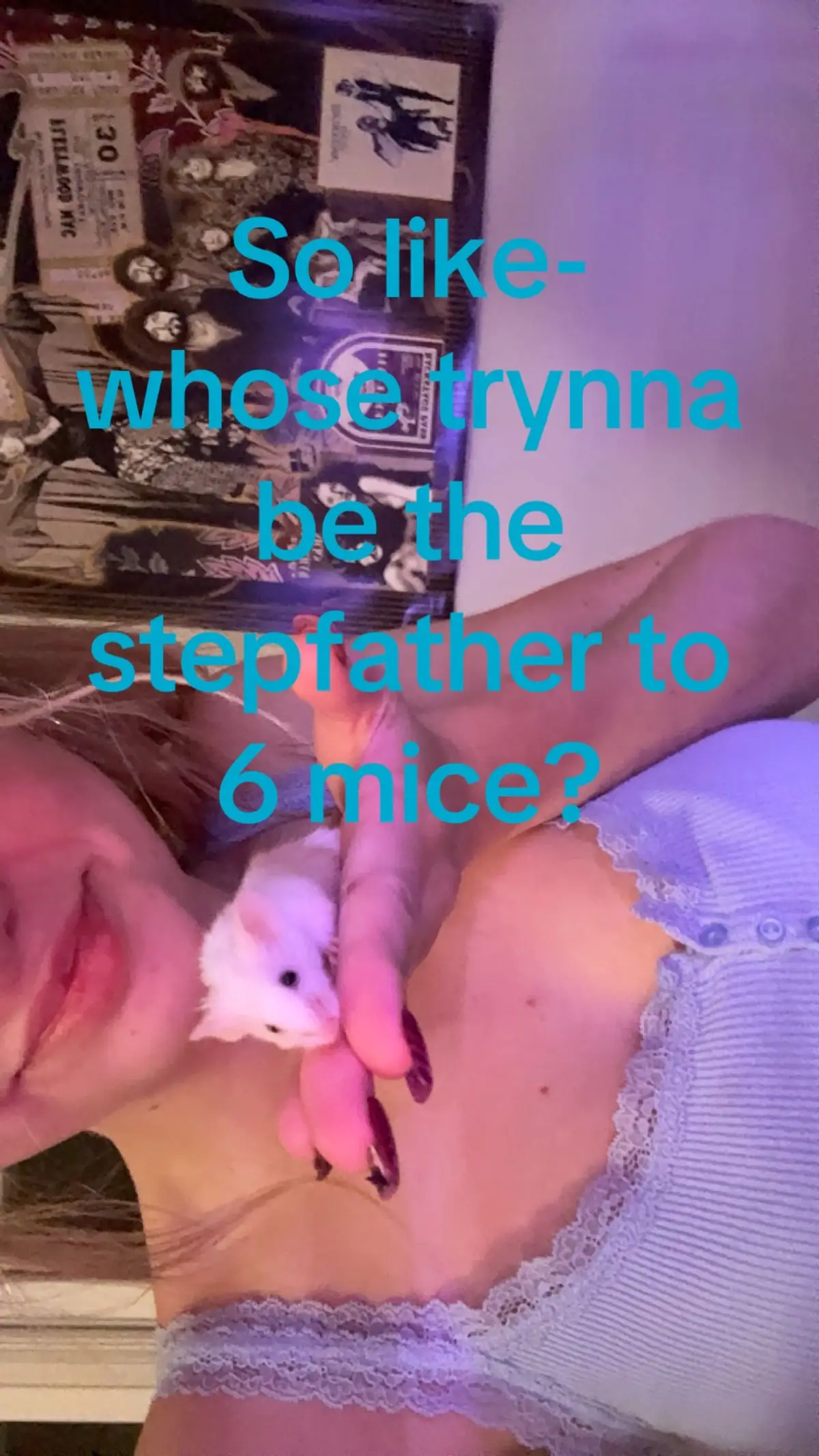 @thatweirdanimalgirl