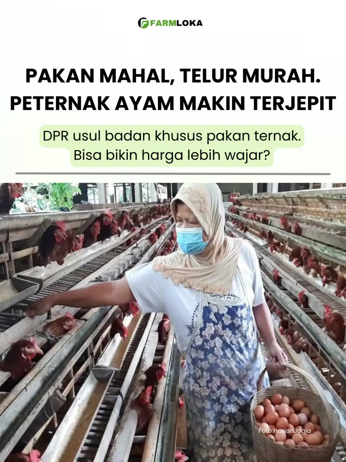 @Farmloka