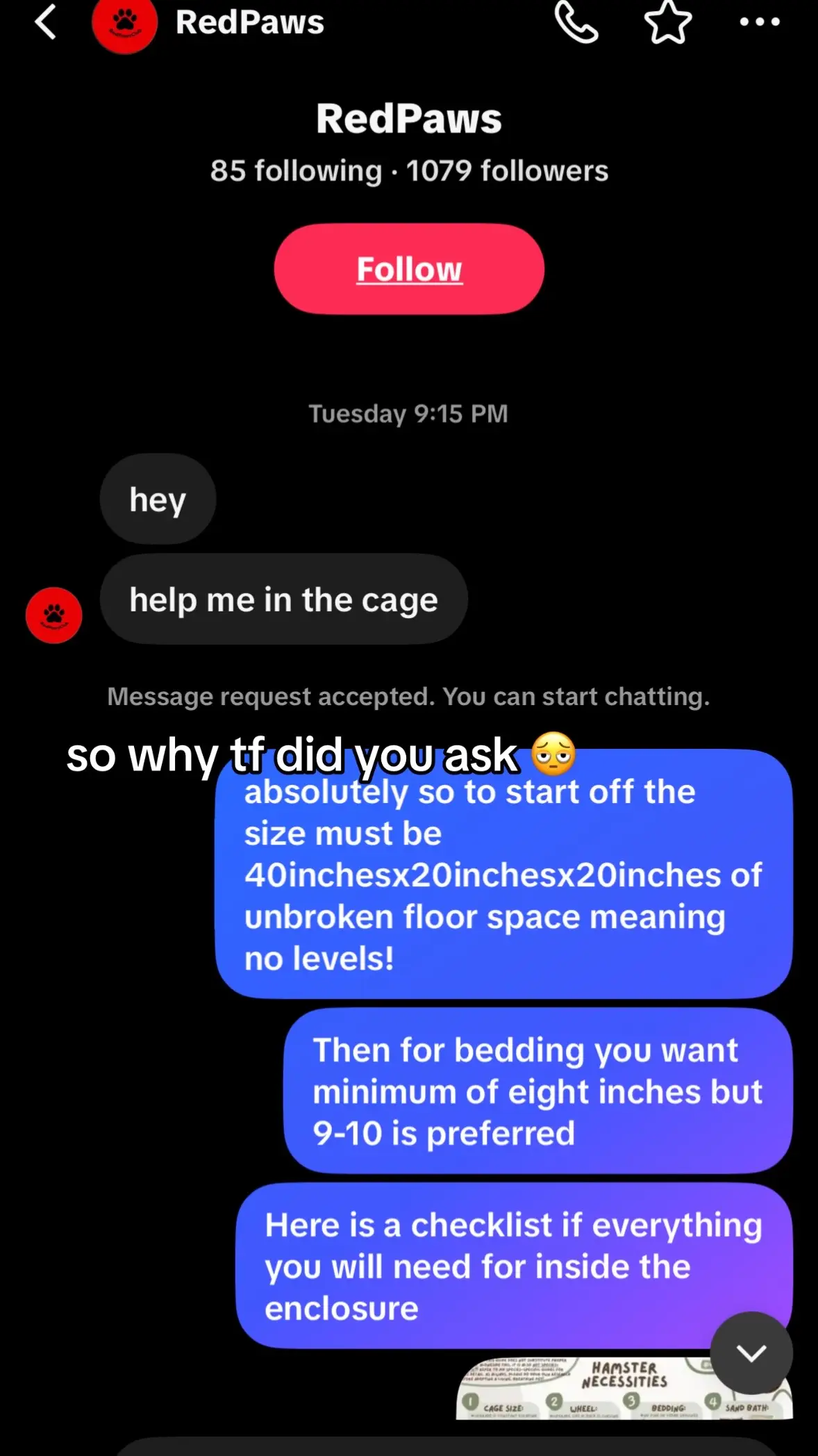 @thatweirdanimalgirl