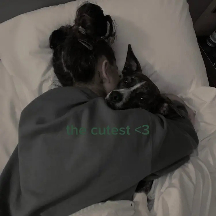 @ᥫ᭡