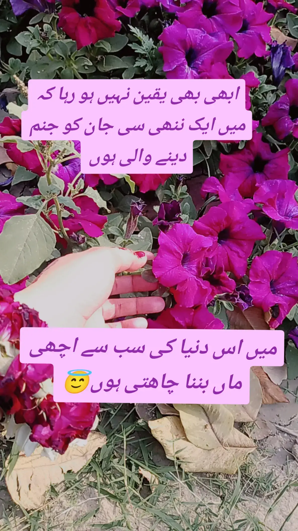 @Mommy to be