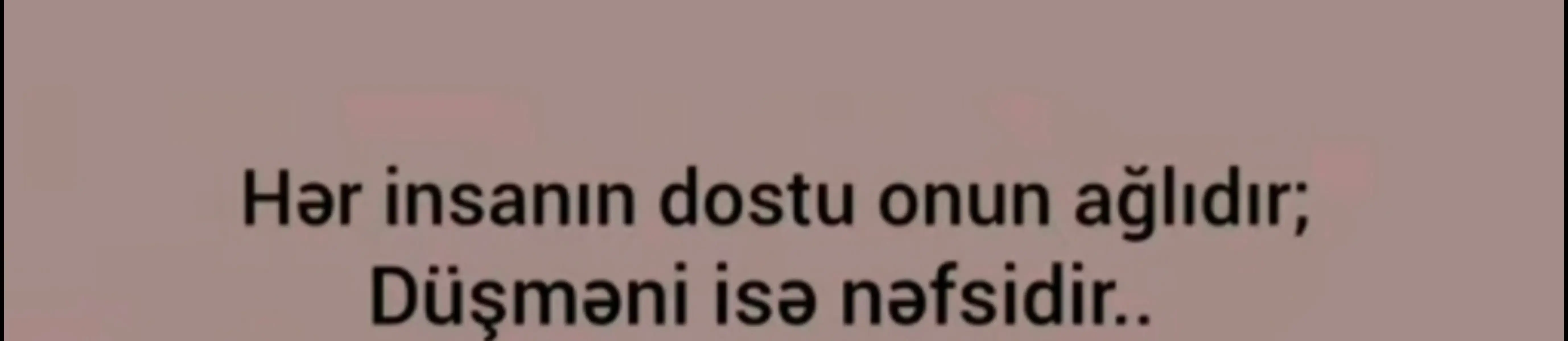 @Eliw 339