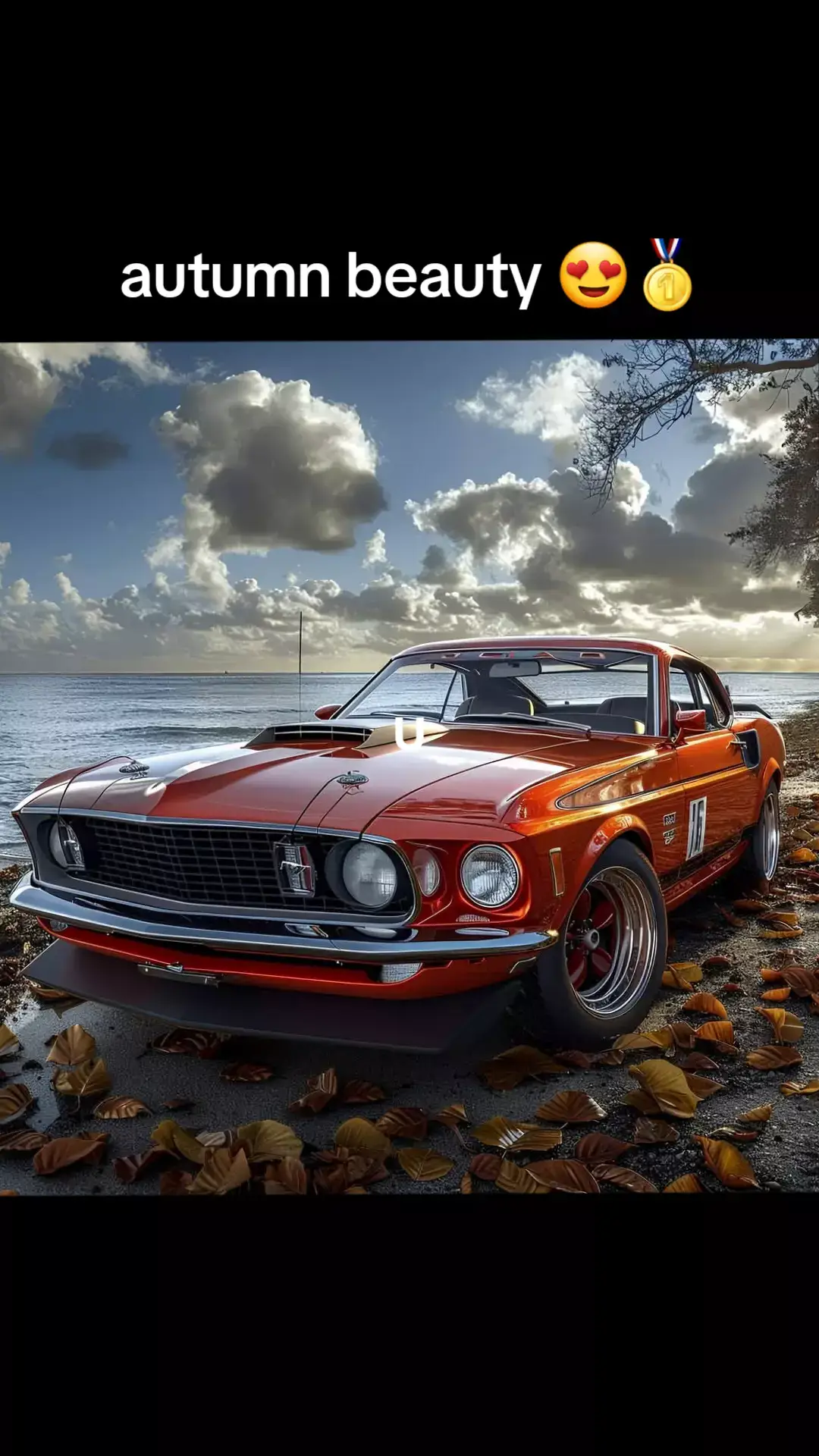 @Rare Classic cars🔹️