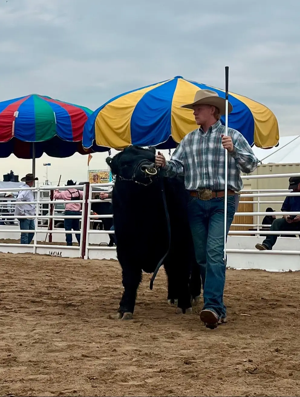 @carlosthecowpuncher