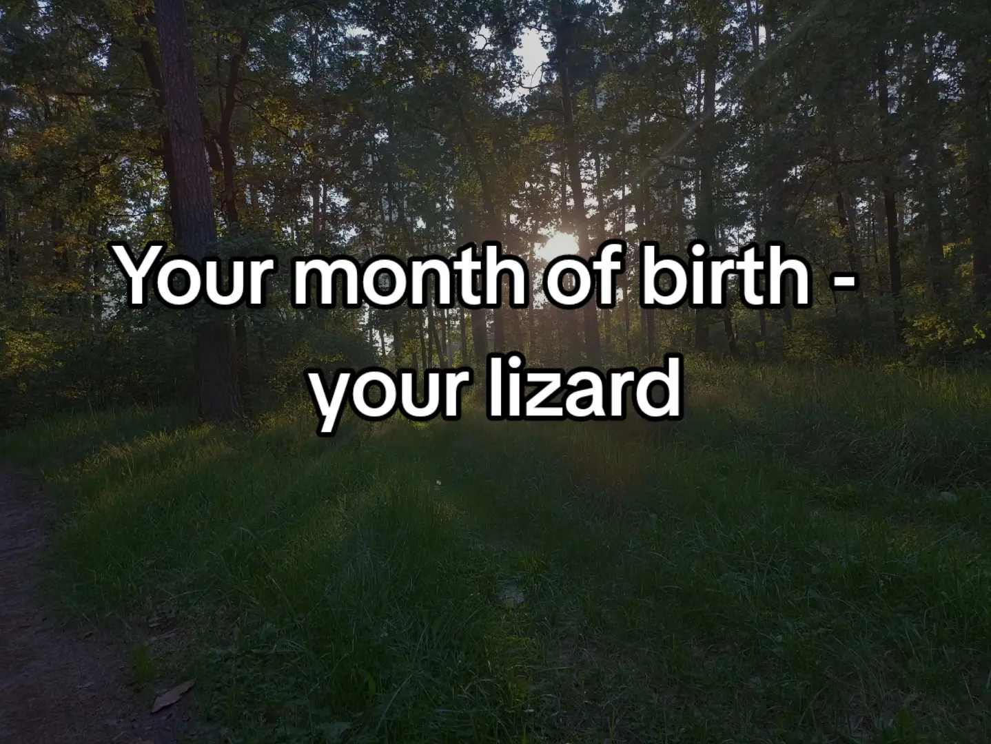 @ᅠ