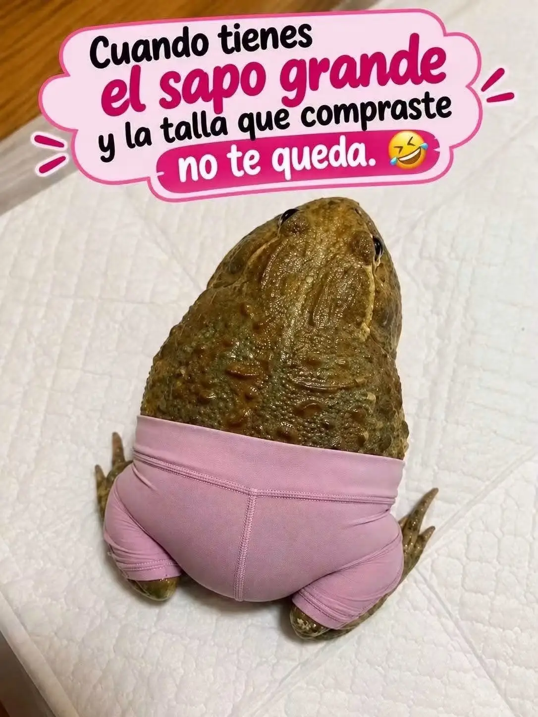 @La chaparrita sexi💝