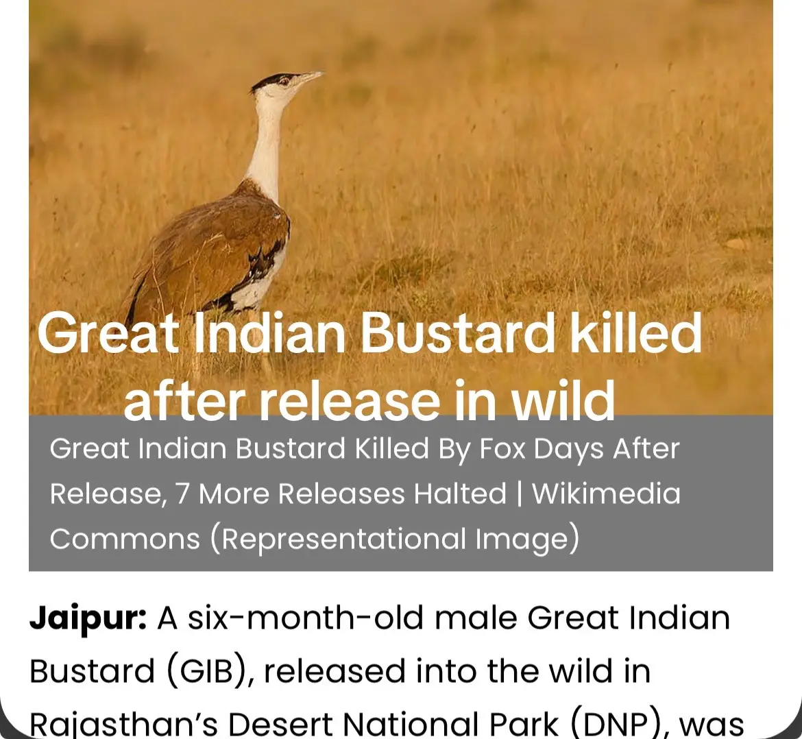 @SouthAsianJournal