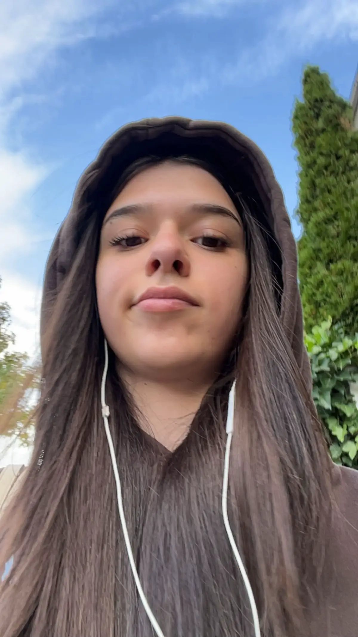 @️vesa