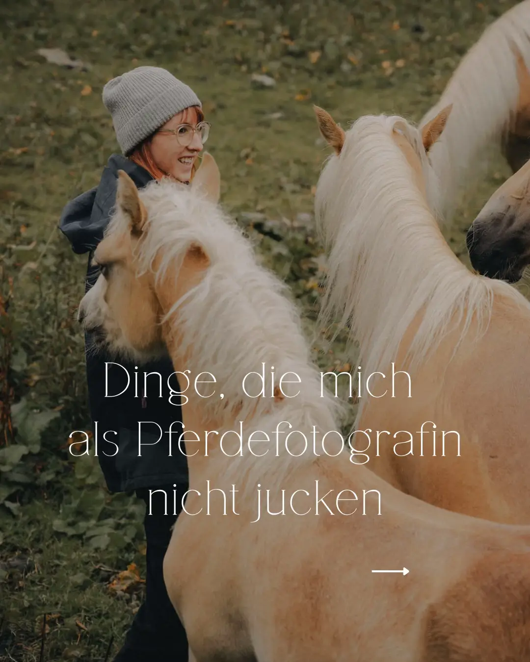 @Lorea ☾ Equine Imagery