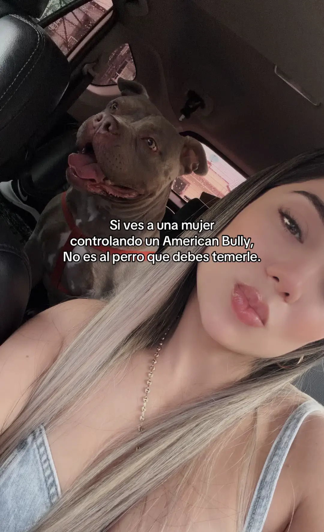 @🧸Diana osita🧸