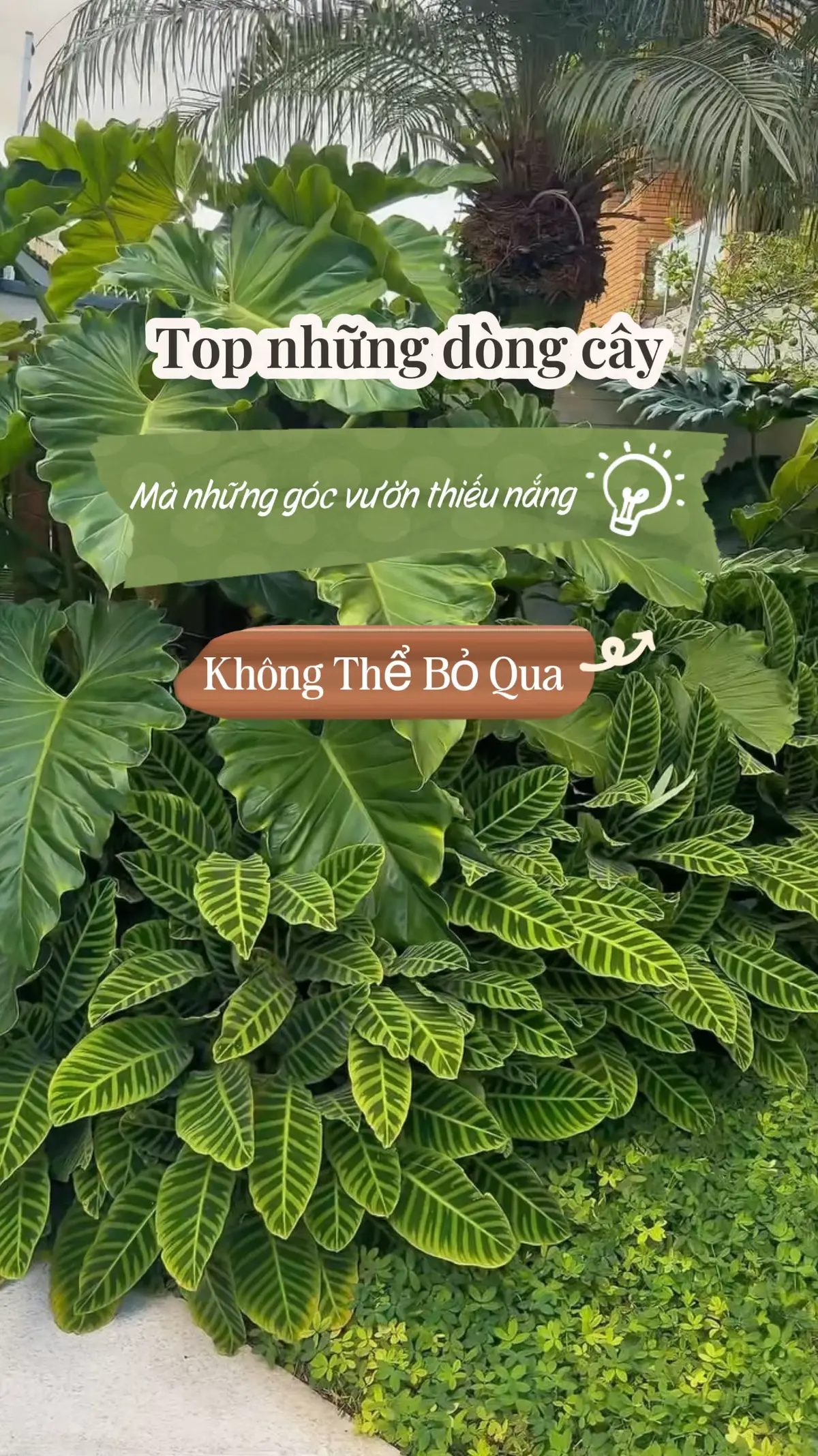@Tiệm Lá Nhỏ