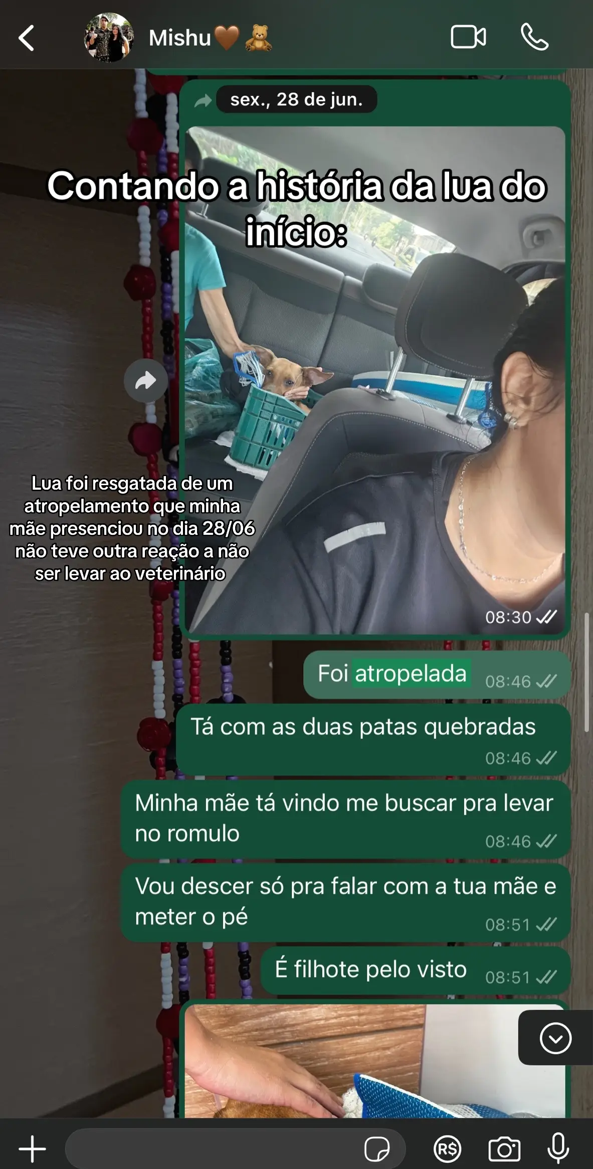 @Lua
