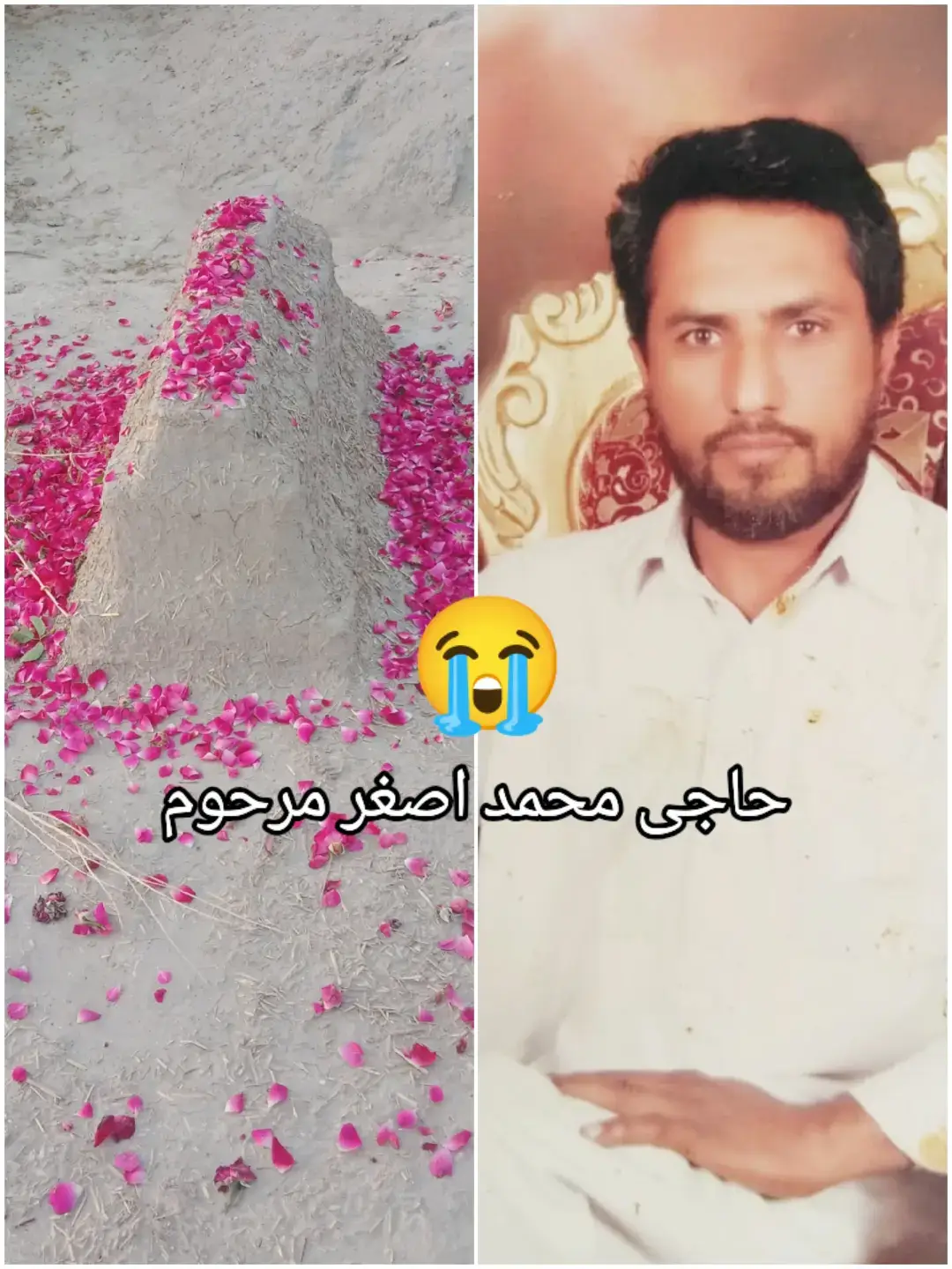 @M Faheem Ahmed