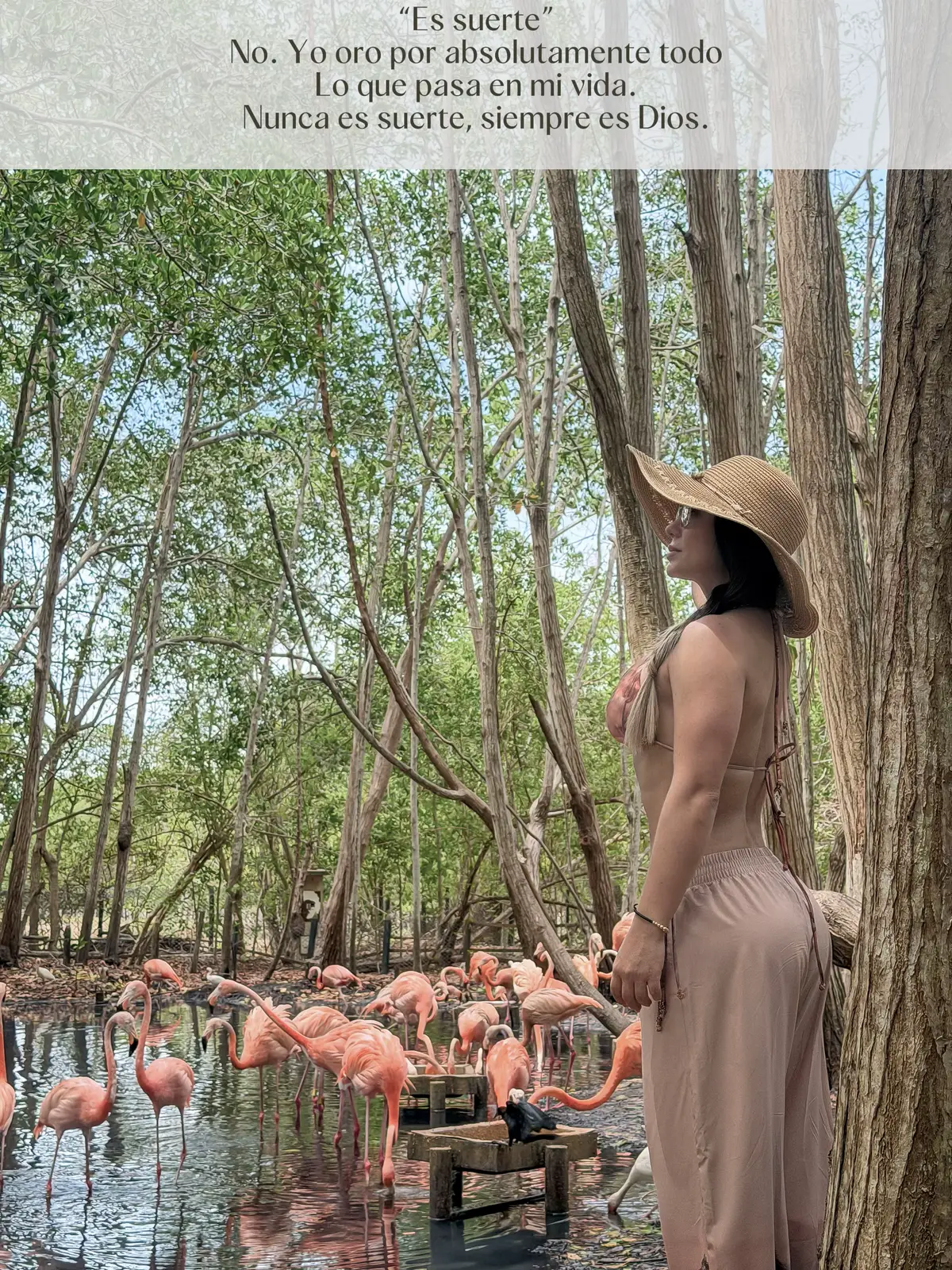 @🧸Diana osita🧸