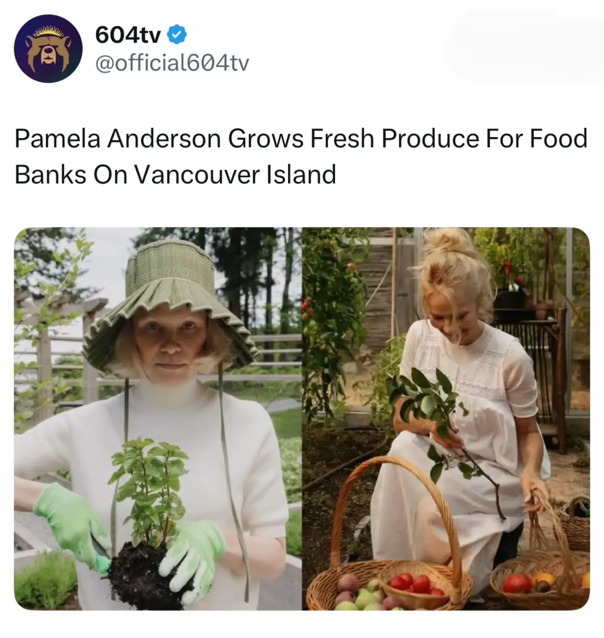 @604tv