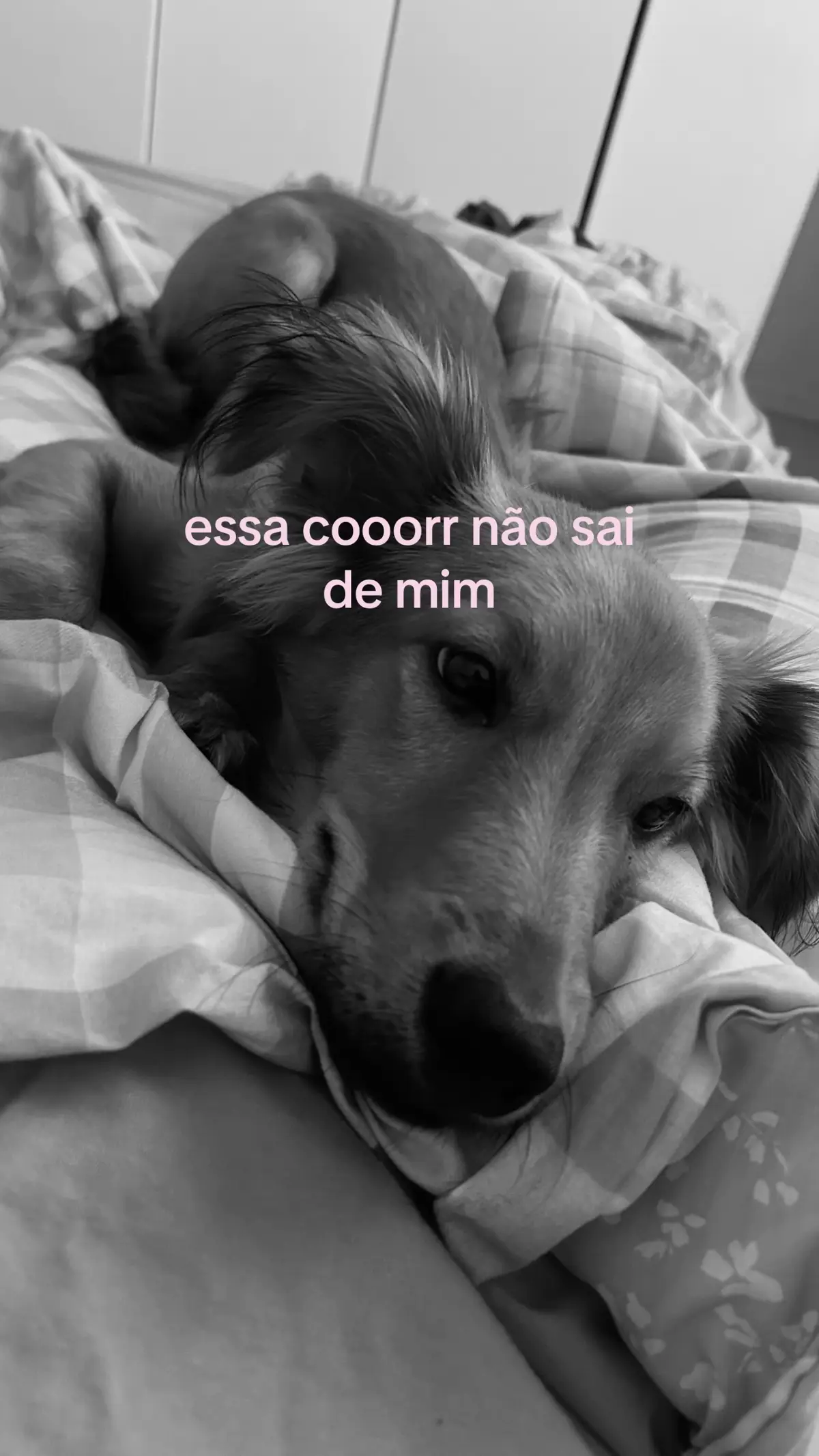 @luinza💋