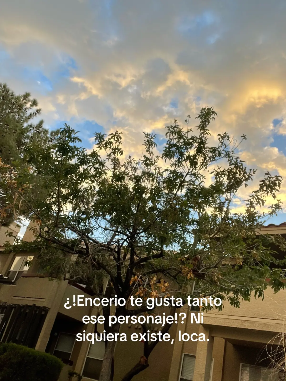 @‧₊˚ ⋅ 🇳∀ 🇳∀ ꪑ 𝙄 ෆִֶָ🪽་༘