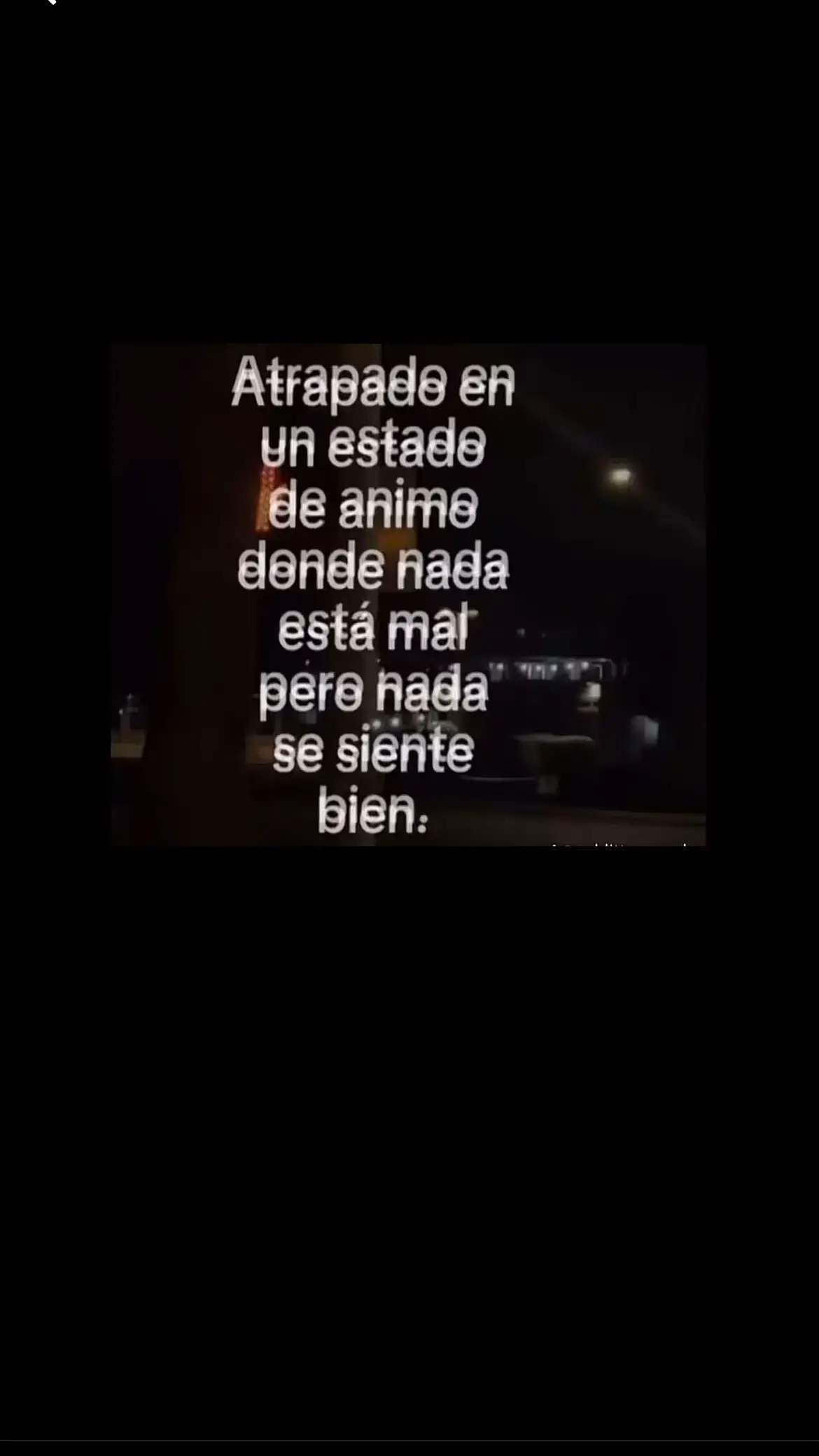 @Melisa Veiga