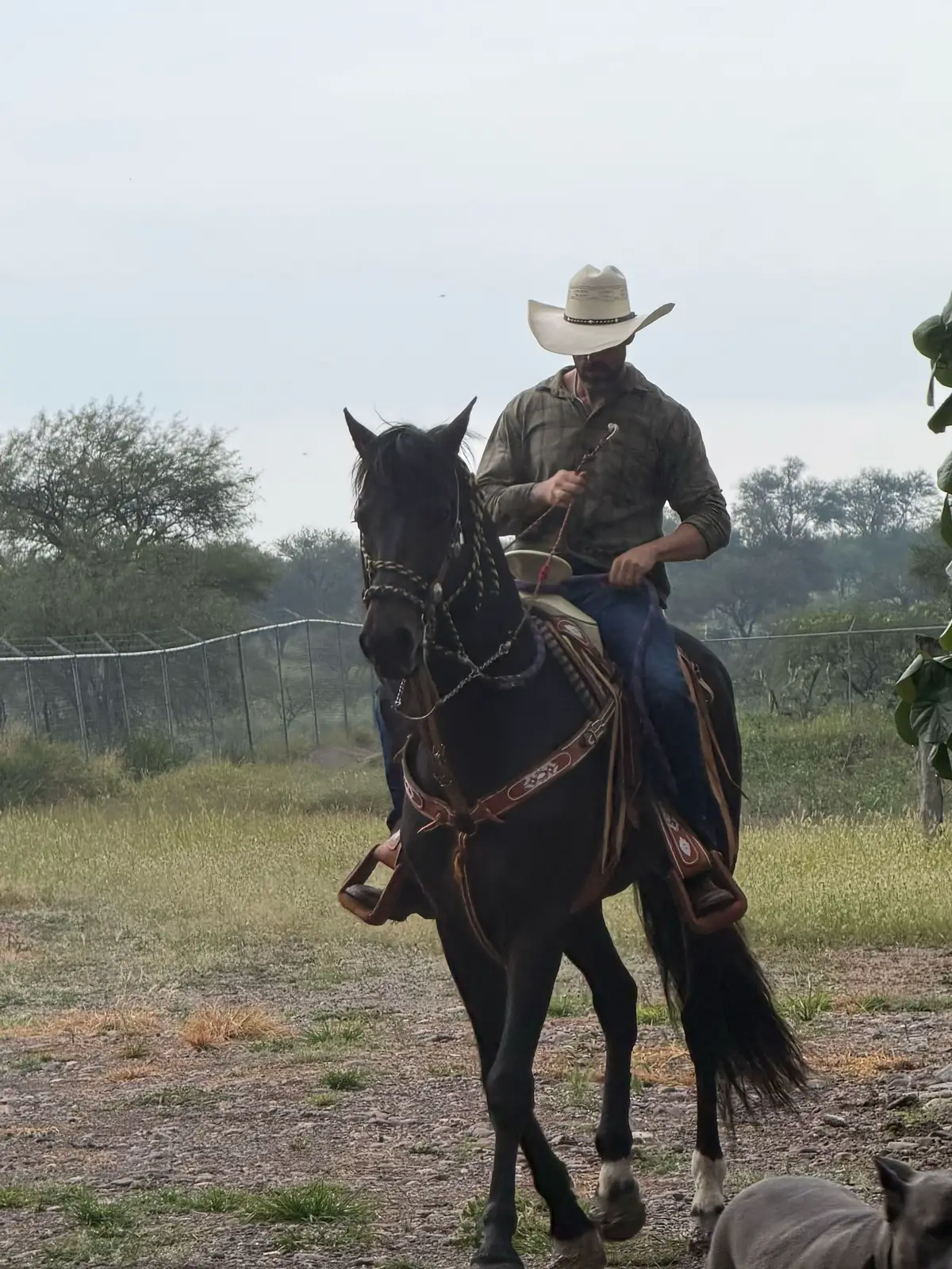 @Gustavo Galindo Navarro
