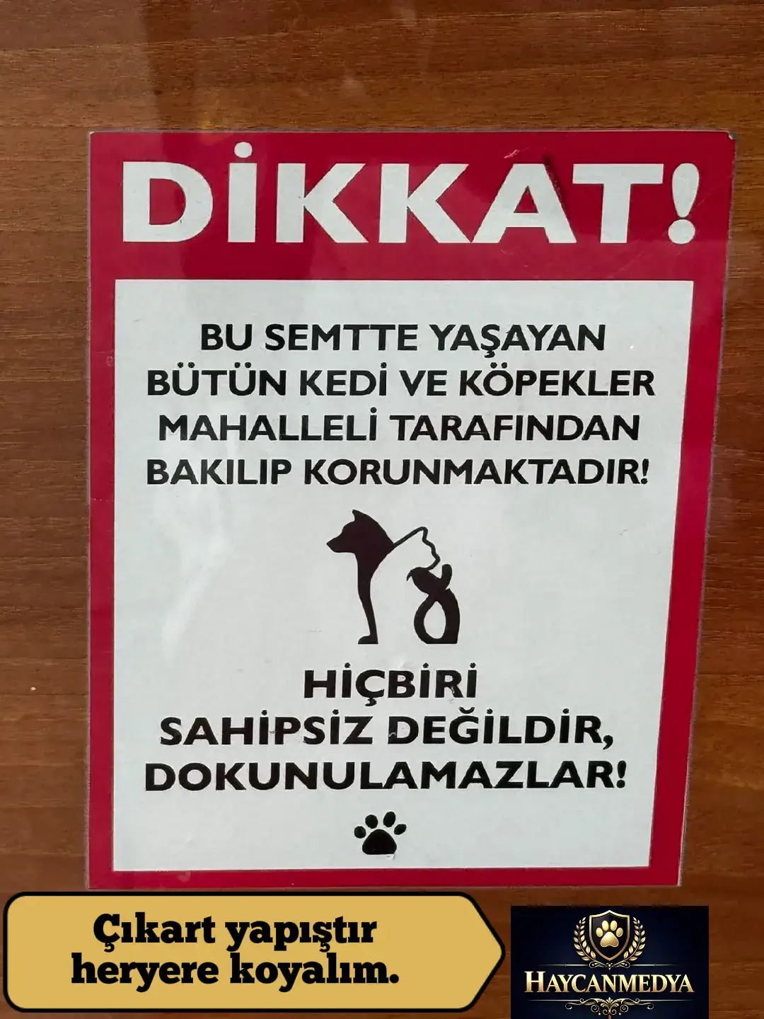 @HAYCAN MEDYA 🌐✔️