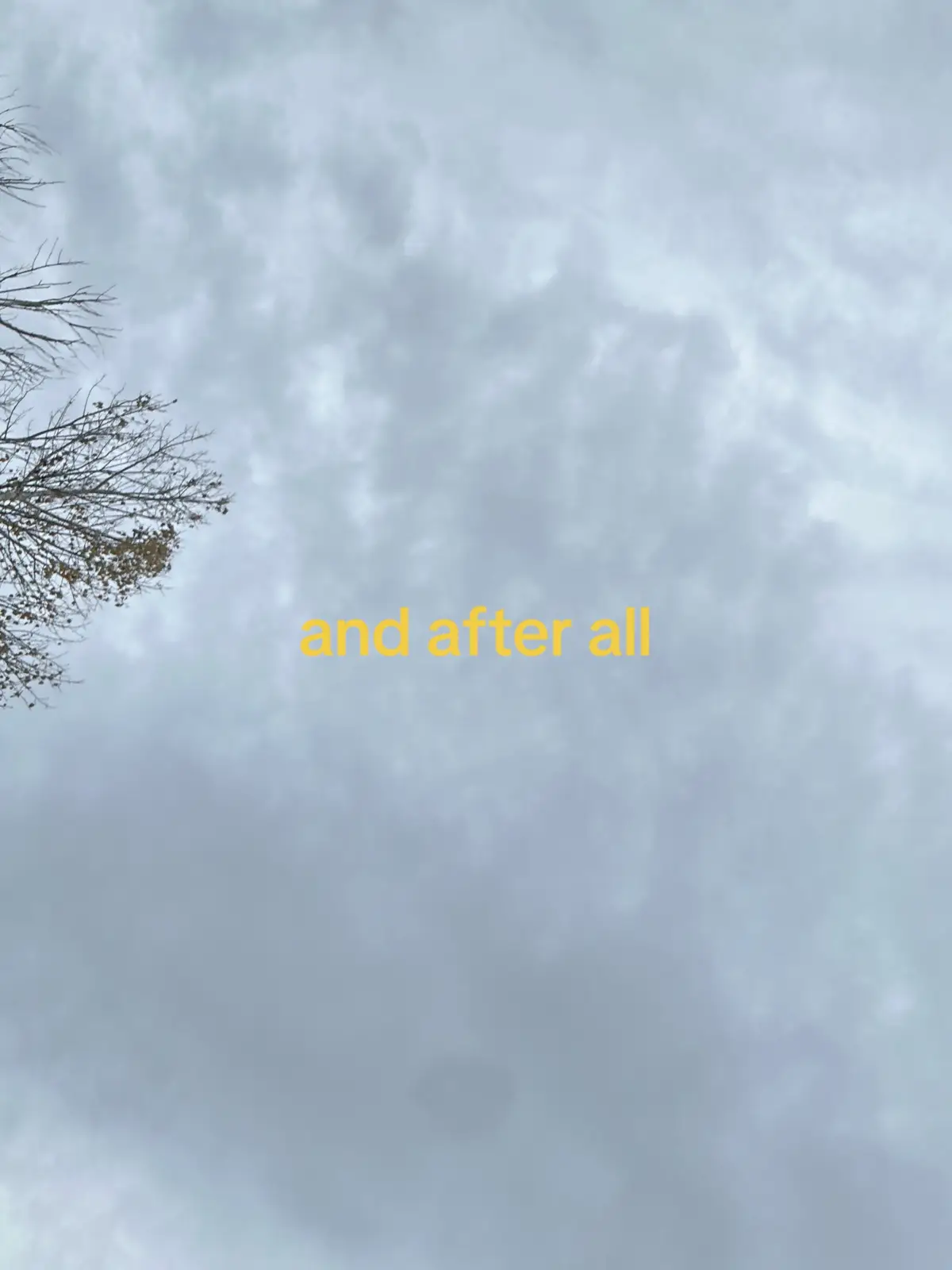 @15🌌