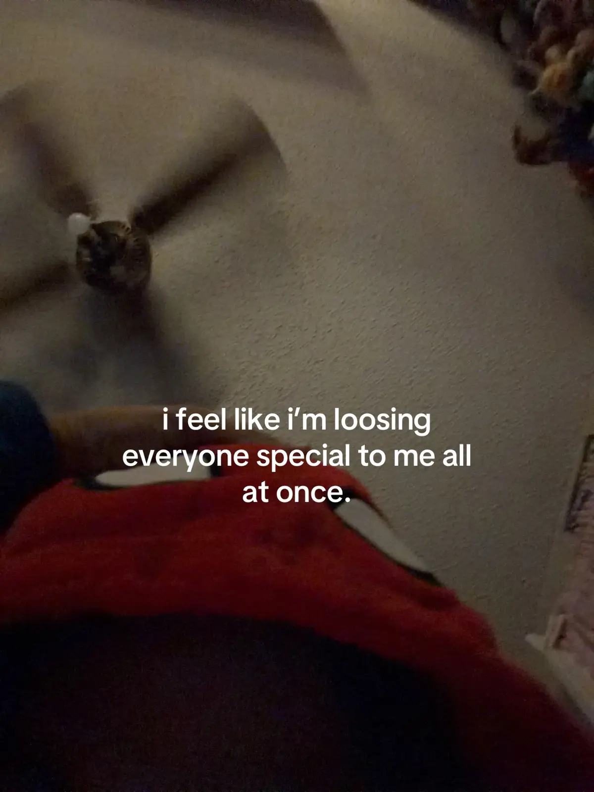 @ᥫ᭡