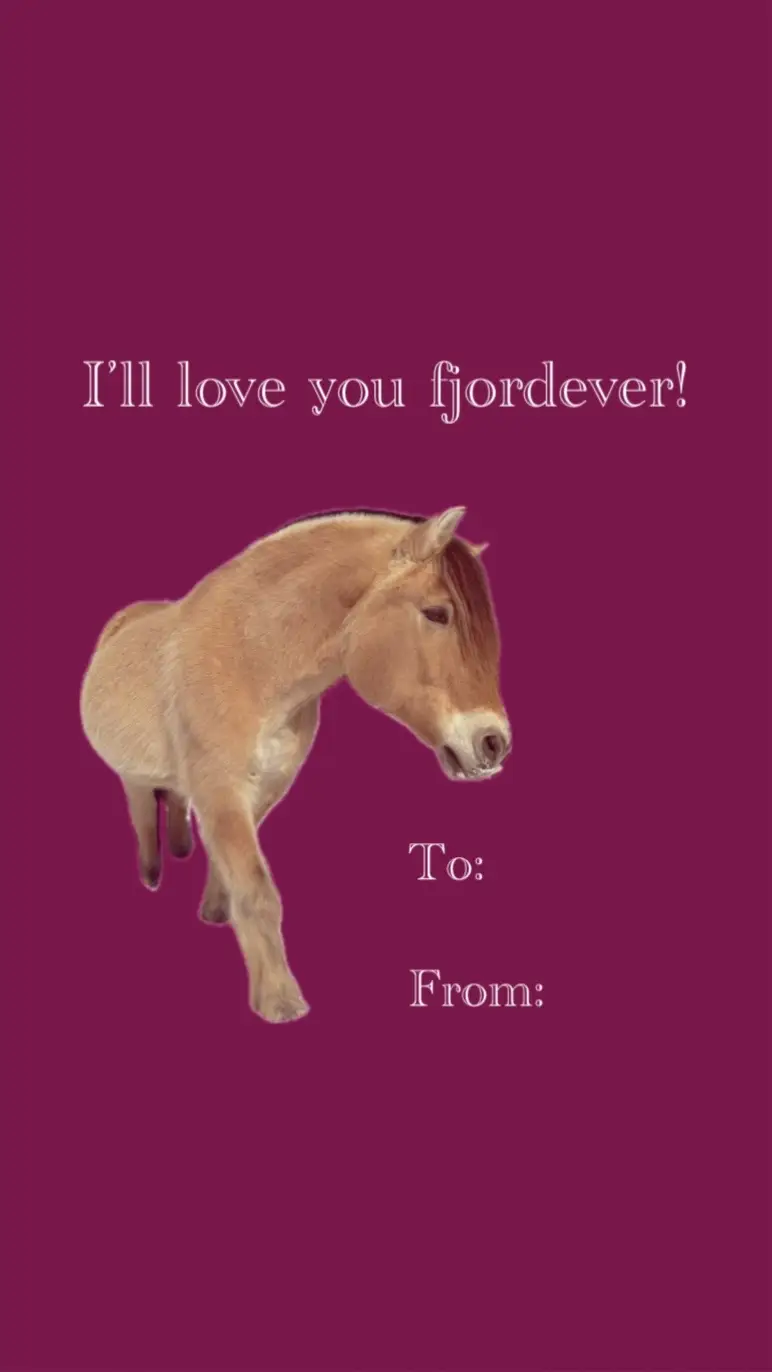 @Katelyn Smith