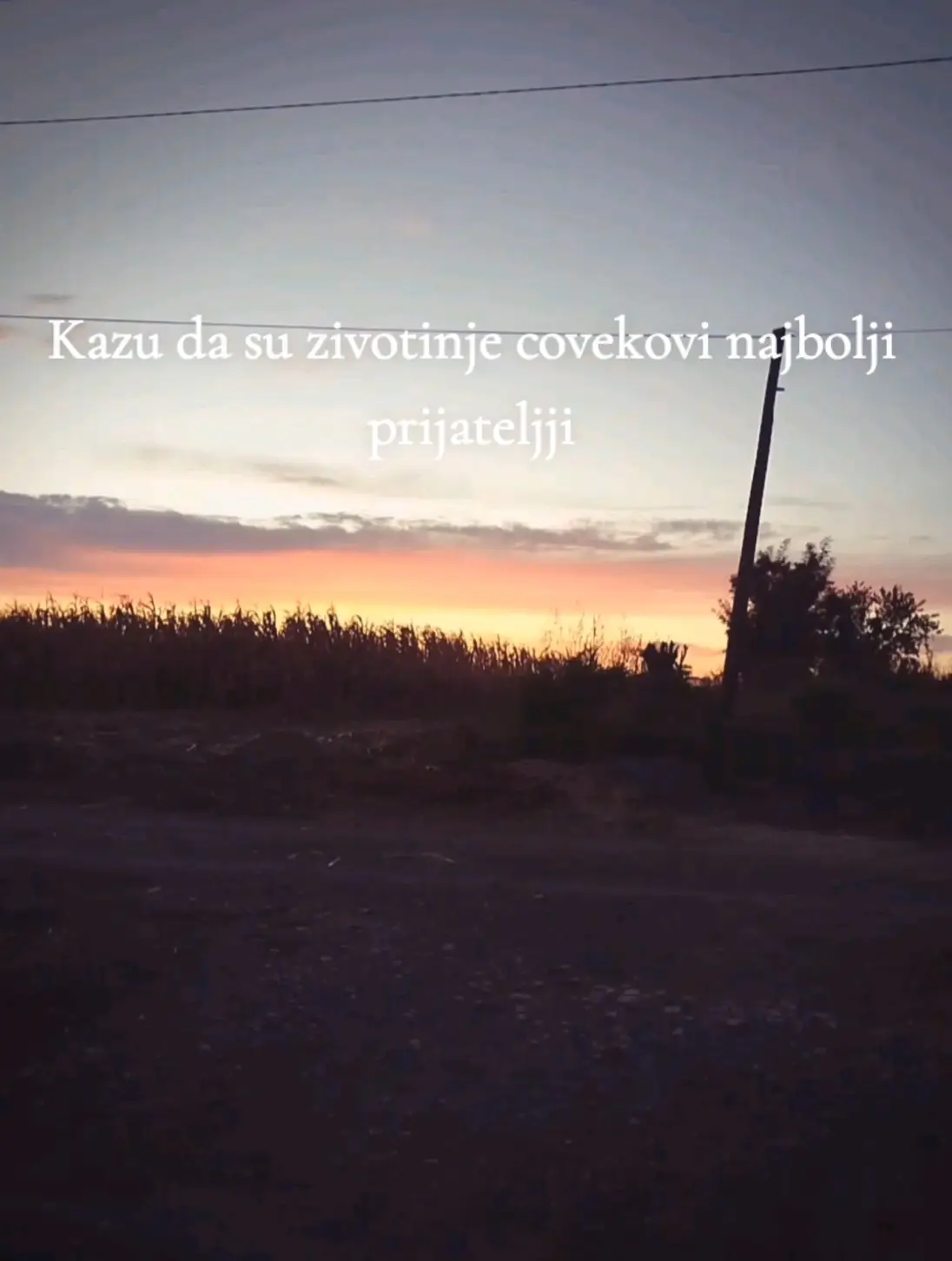 @Неда
